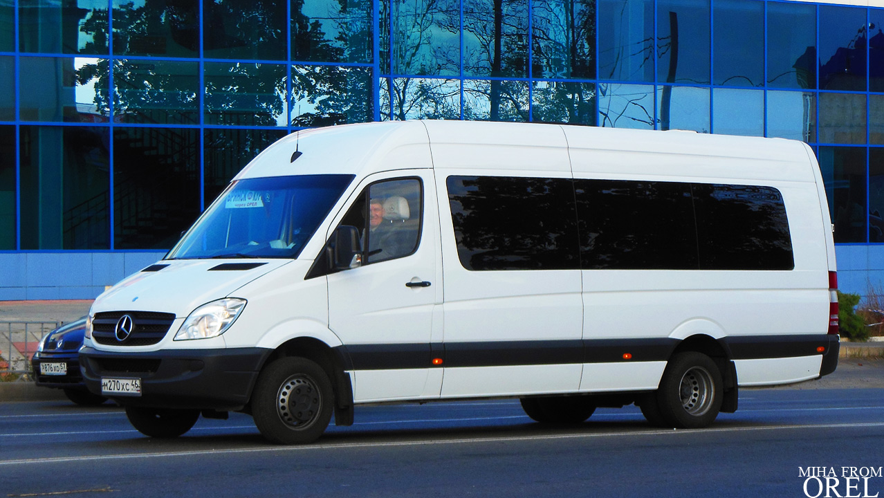 Луидор 225046. MB Sprinter Луидор. Луидор-223602 (MB Sprinter). Луидор-2234 микроавтобус. Луидор-223685 (MB Sprinter).