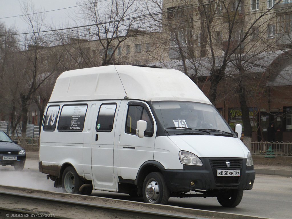 Луидор газель фото