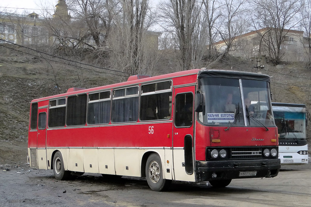 Автовокзал нальчик. Икарус 250.56. Автобус Волгоград Нальчик Икарус 250. Икарус 250 автовокзал Краснодар -1. Икарус 250 Нальчик.