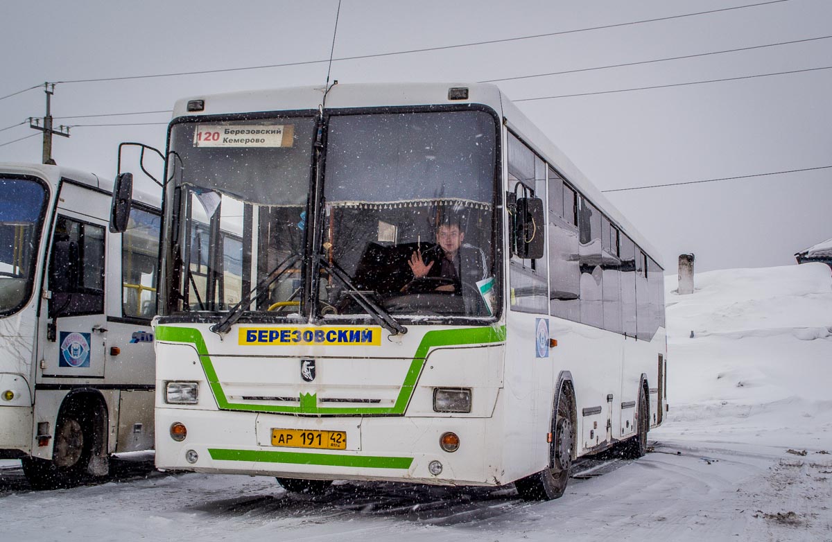 Отследить автобус березовский кемеровская область. 120 Кемерово Березовский НЕФАЗ. Автобус 120 Березовский Кемерово НЕФАЗ. 120 Автобус Кемерово Березовский. Берёзовский Кемеровская область НЕФАЗ 5299.