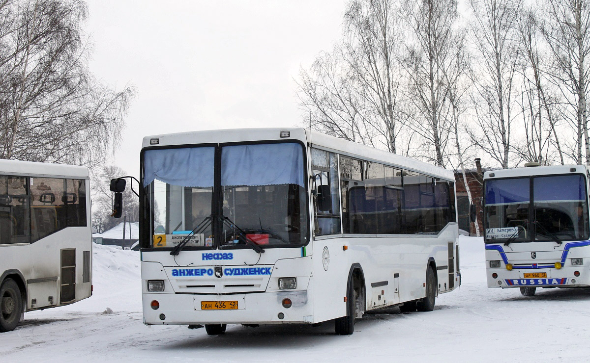 Автобус анжеро судженск ижморский