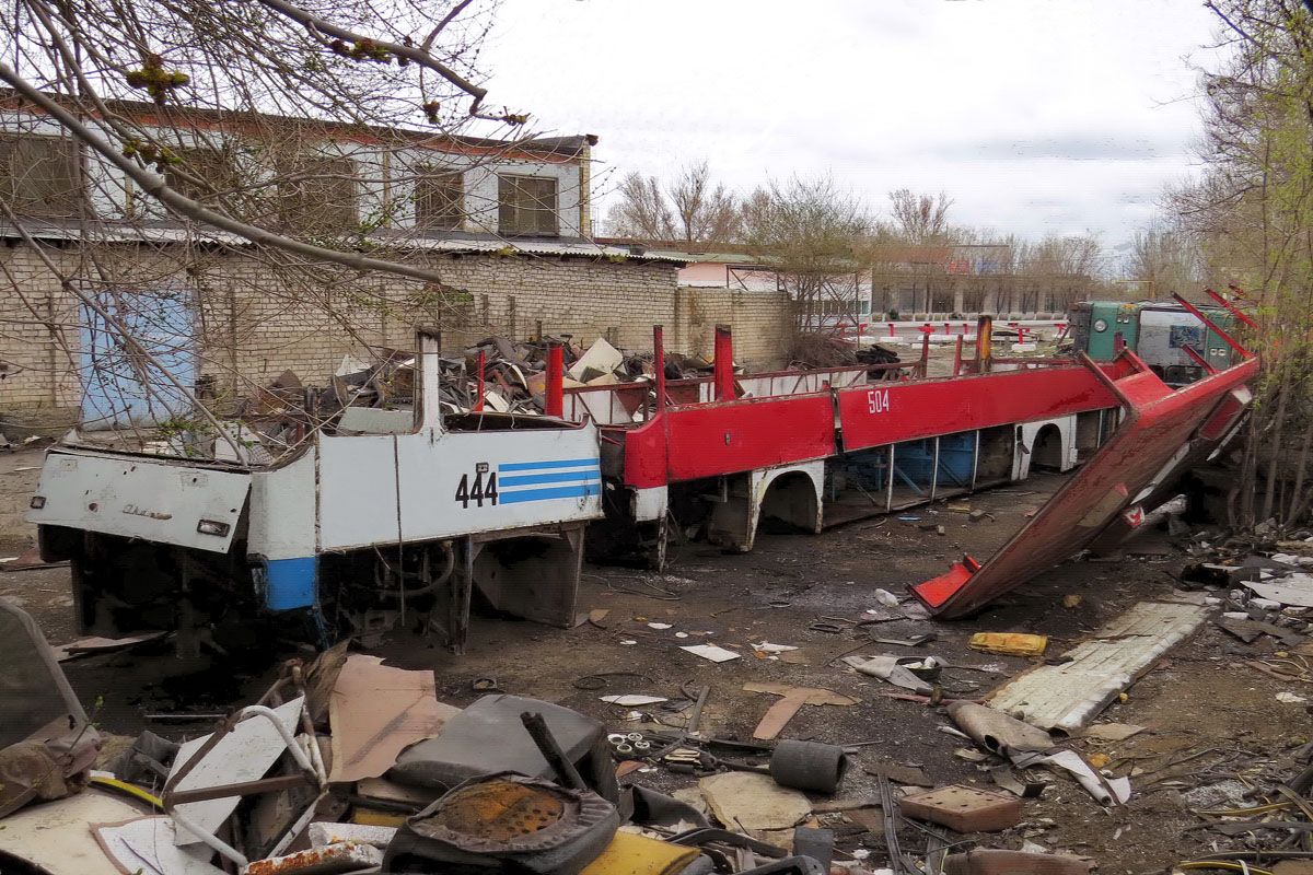 Лягушки волгоградской области фото