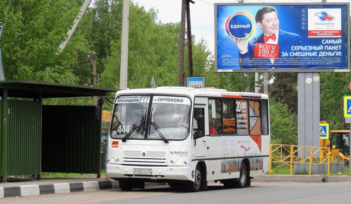 Метро просвещения сертолово