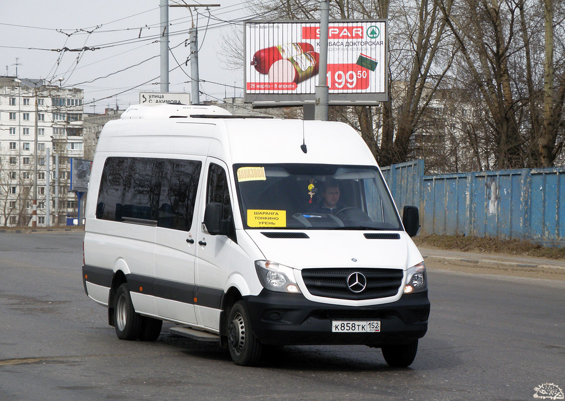 Автобус н новгород. Луидор-22360c (MB Sprinter). Luidor 22360c. Луидор 22360с. MB Sprinter Луидор.