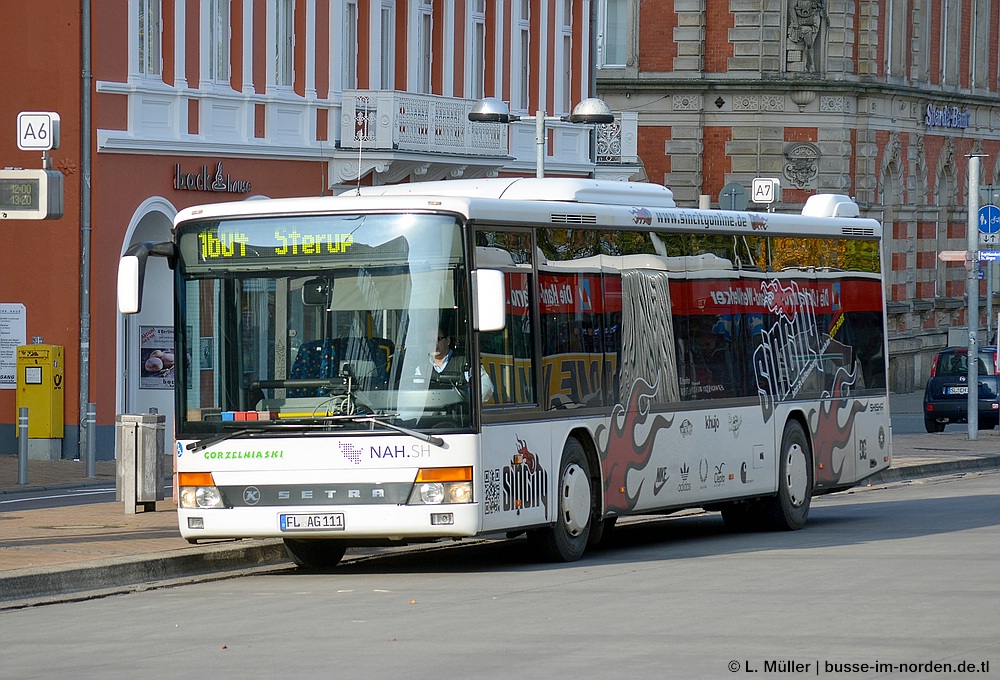 Germany, Setra S315NF # FL-AG 111