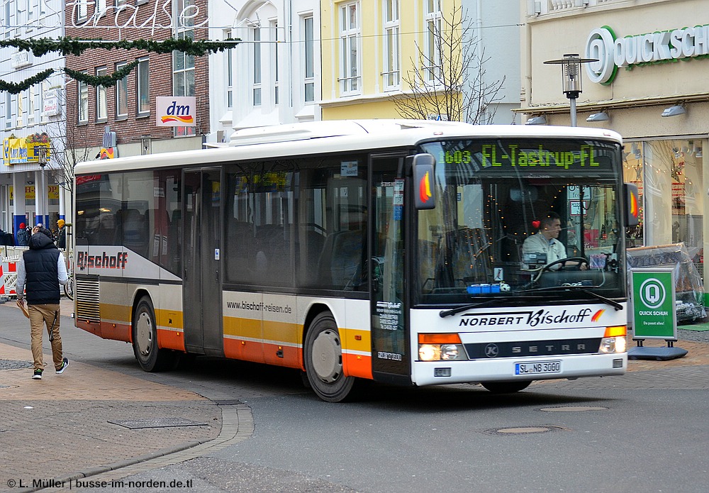 Germany, Setra S315NF # SL-NB 3000