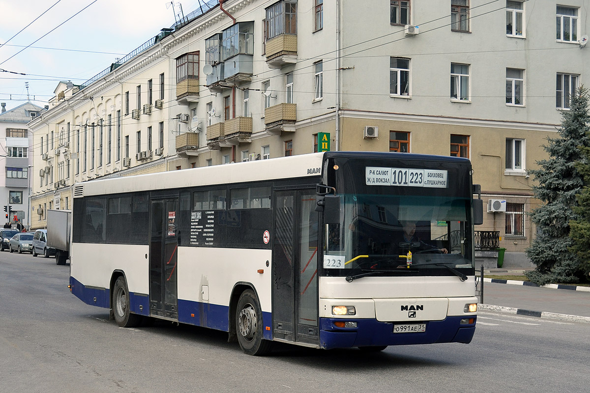 Автобус 223к. МАЗ 203.085. МАЗ 203 Питер. МАЗ 203 СПБ Пассажиравтотранс. Man a21 nl313 CNG.