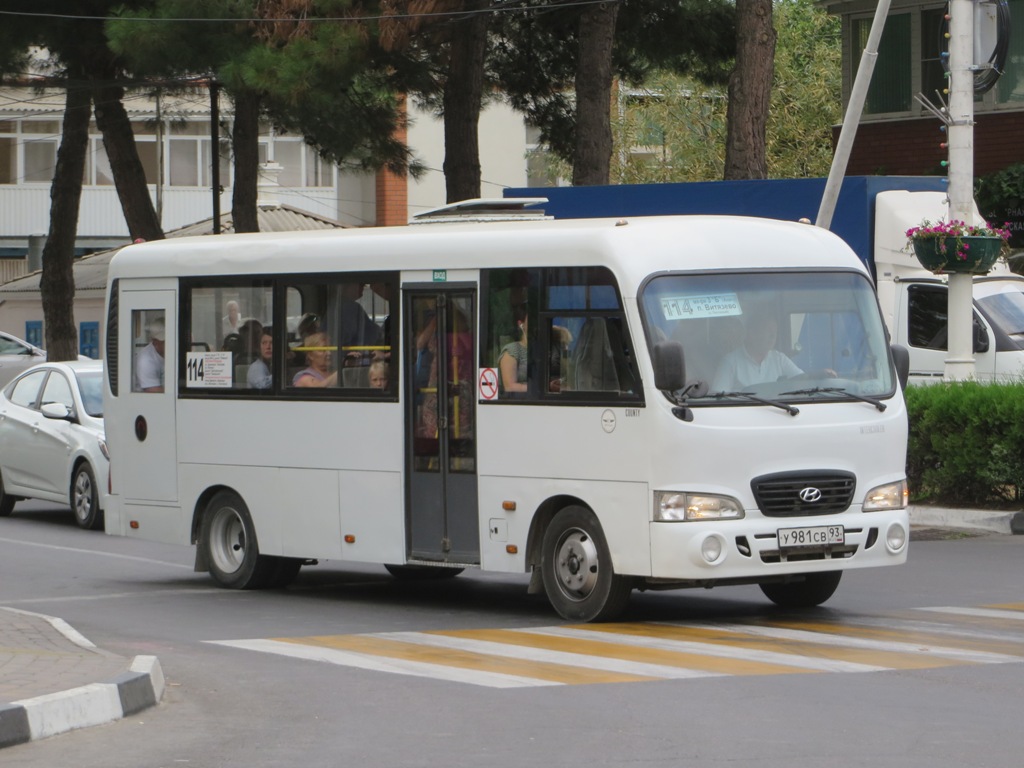 Hyundai hd lwb county