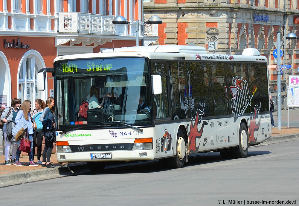 Germany, Setra S315NF # FL-AG 111