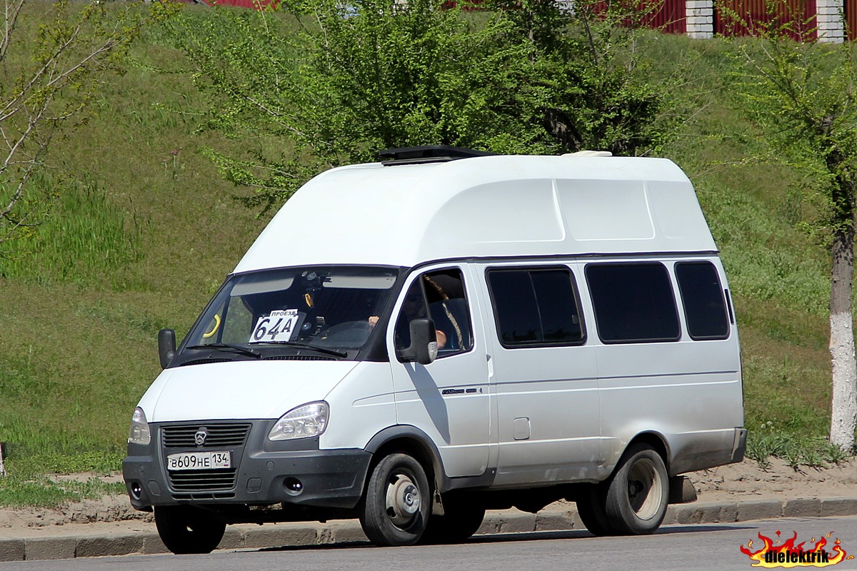 газель луидор фото