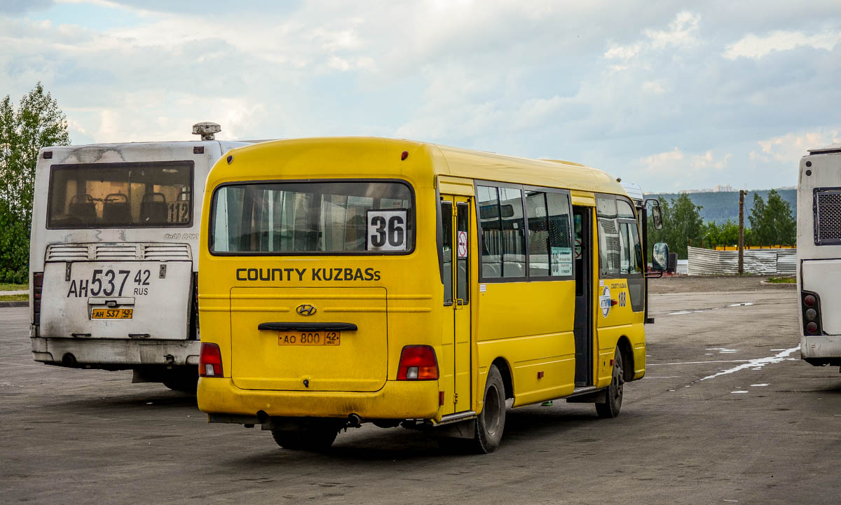 Хендай кузбасс автобус