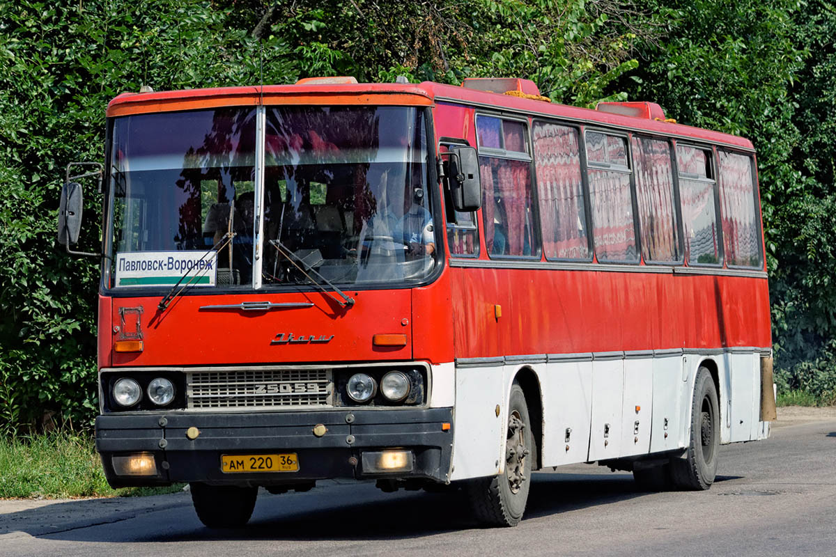 Купить билет на автобус воронеж старый. Икарус 250. Автобус Ikarus 250. Икарус 250.59. Икарус 250 ранний.