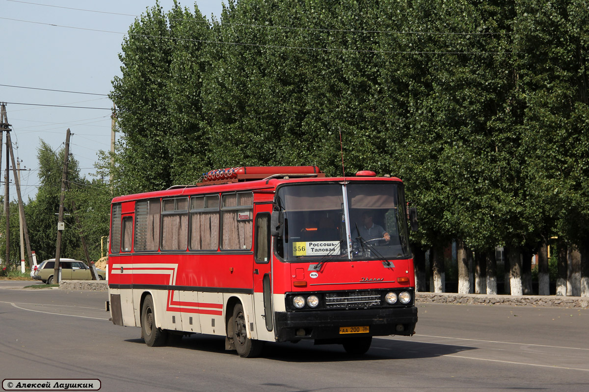 Россошь таловая. Белгород Россошь автобусы. Автобус 551b Россошь Белгород. Автобус Воронеж Россошь. Таловая Воронежская область.