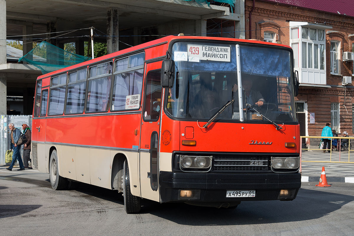 Автобусы краснодар майкоп сегодня. Икарус 256 в Геленджике. Икарус Майкоп Краснодар. Икарус автобус 256_74.