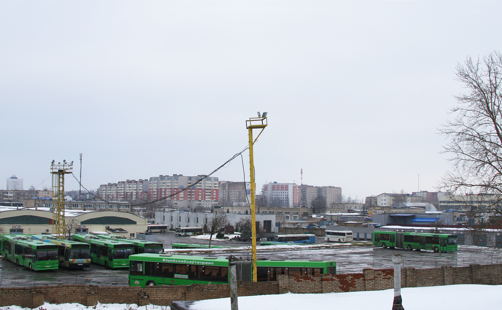 Фото лиозно витебской области