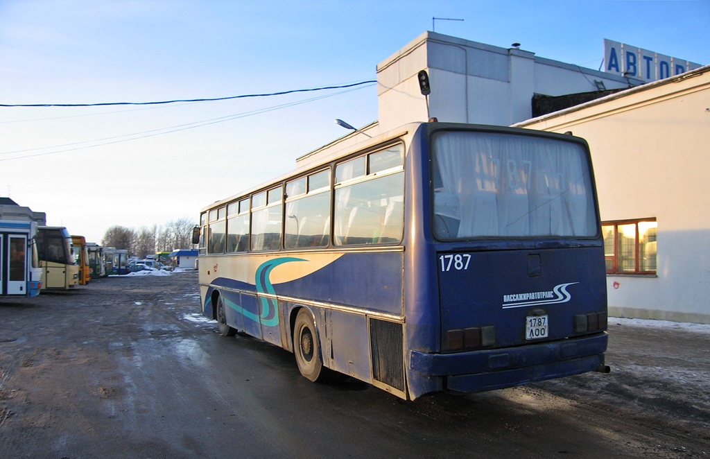 Автобус 256 спб на карте. Автобус 256 СПБ. Северодвинск судьба Икарус Люкс. Как выглядит автобус 256 СПБ.