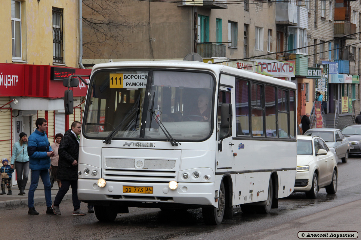 Маршрут 111. ПАЗ 320402-03. Автобус 111 Воронеж Рамонь.