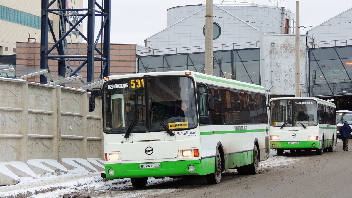 531 автобус остановки. 531 Автобус Всеволожск. 531 Всеволожск СПБ. Автобус 531 СПБ. 462 Автобус Всеволожск.