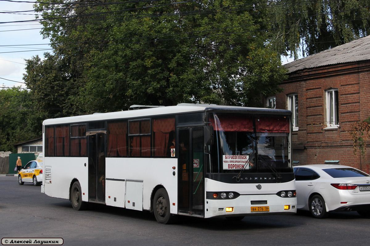 Автобус борисоглебск воронеж. Автобус Волжанин 52701. Волжанин-5271. 746 Воронеж Борисоглебск.