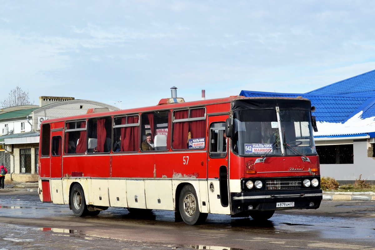 Ikarus 250.59 Нальчик. Икарус 250 1988 Майкоп. Икарус 250 Нальчик. Икарус 250.59 Махачкала.