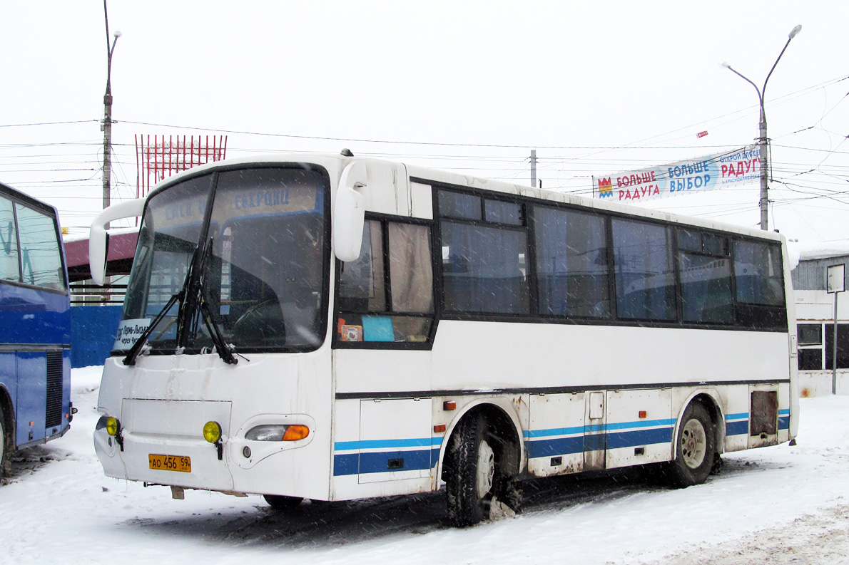 Пермь лысьва автобус купить. Автобус Лысьва Пермь. Автобус 796 Пермь.