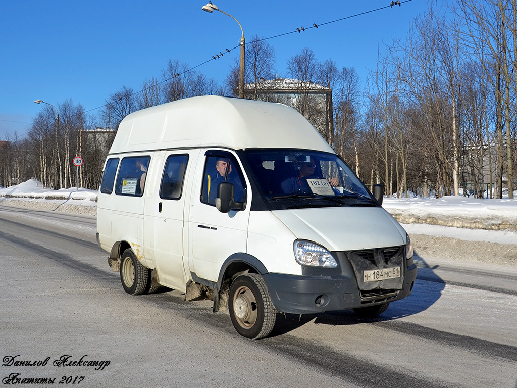 Луидор газель фото