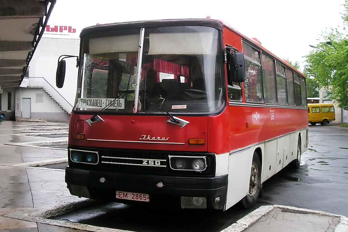 Автовокзал мозырь. Мозырь автовокзал. Фото автобуса зелёного цвета Икарус.