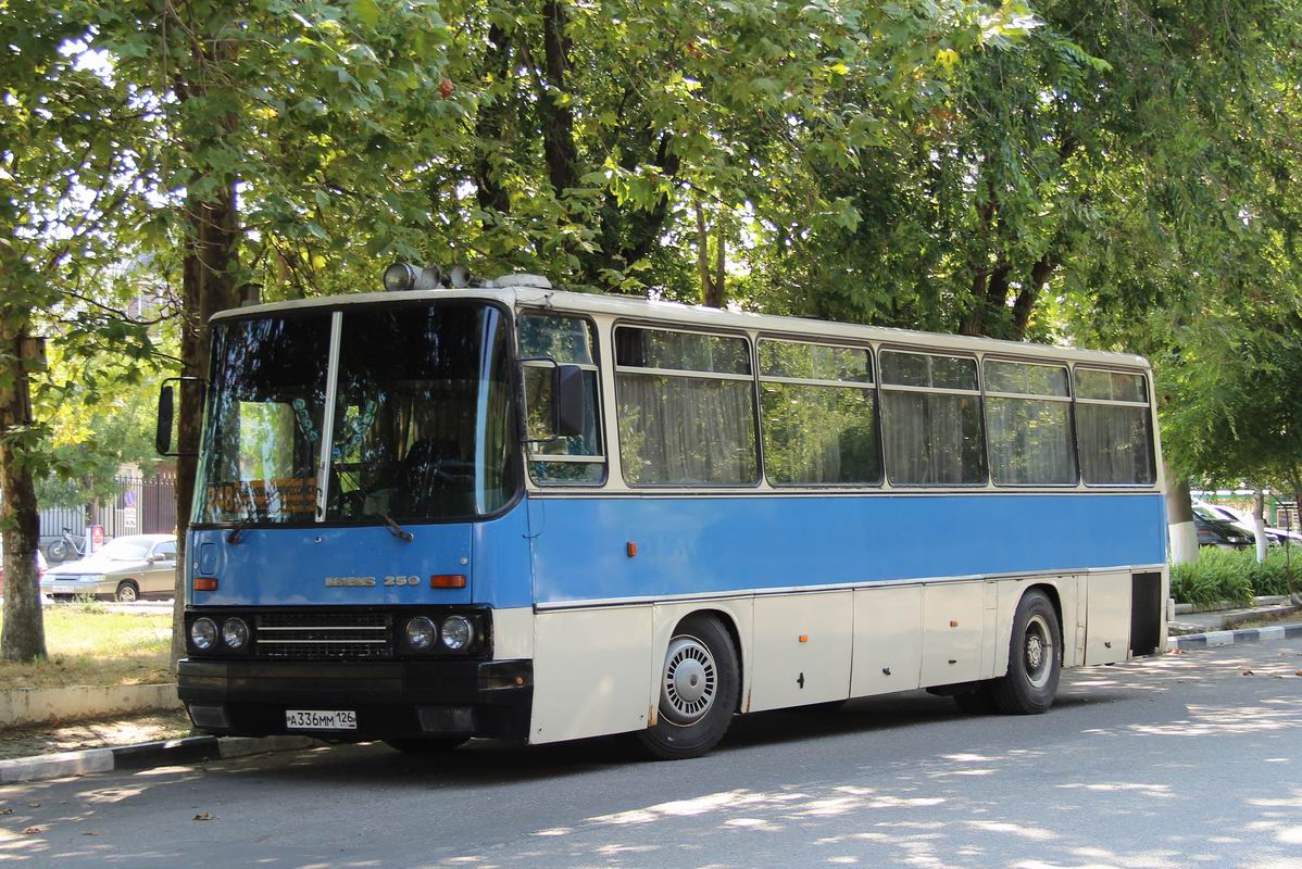 Автобус 126 анапа