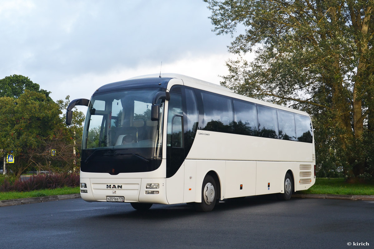 Man lion s coach фото