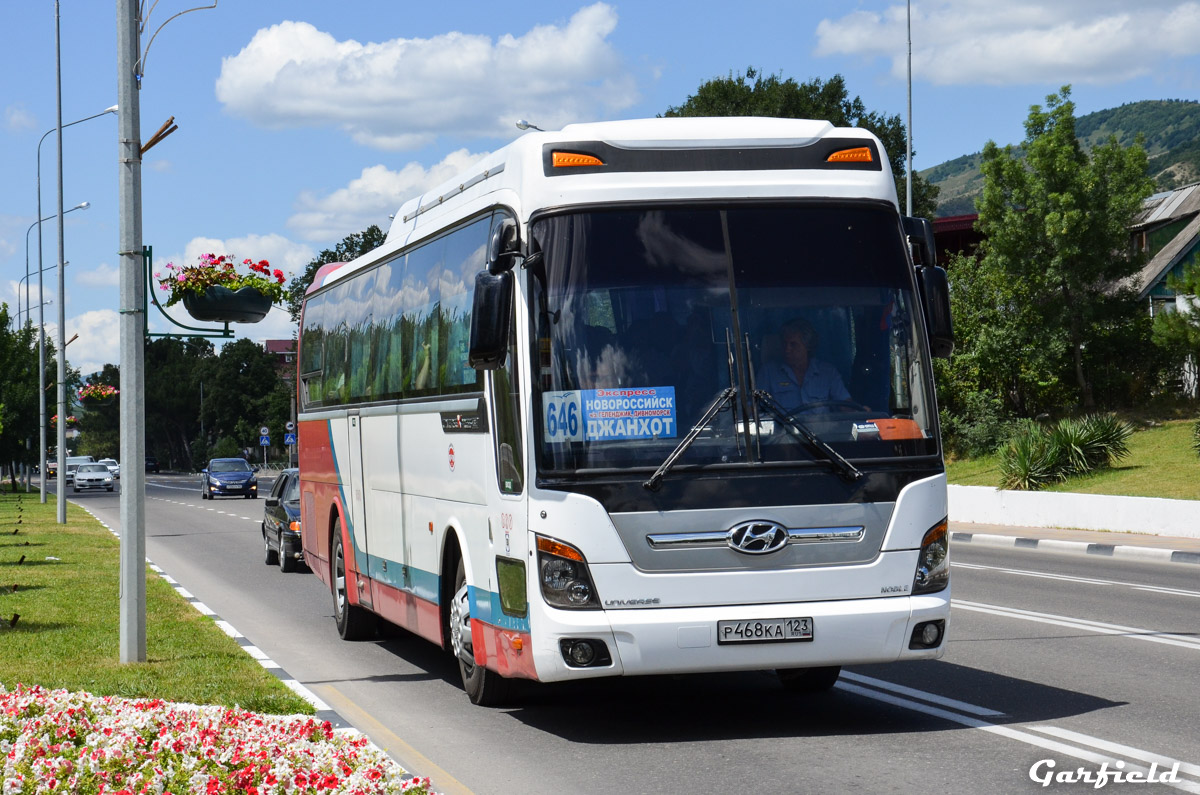 Воронеж новороссийск автобус. Aeroexpress Hyundai. Автобус Новороссийск Сочи. Автобус 646 Джанхот Новороссийск. Hyundai Universe бак.