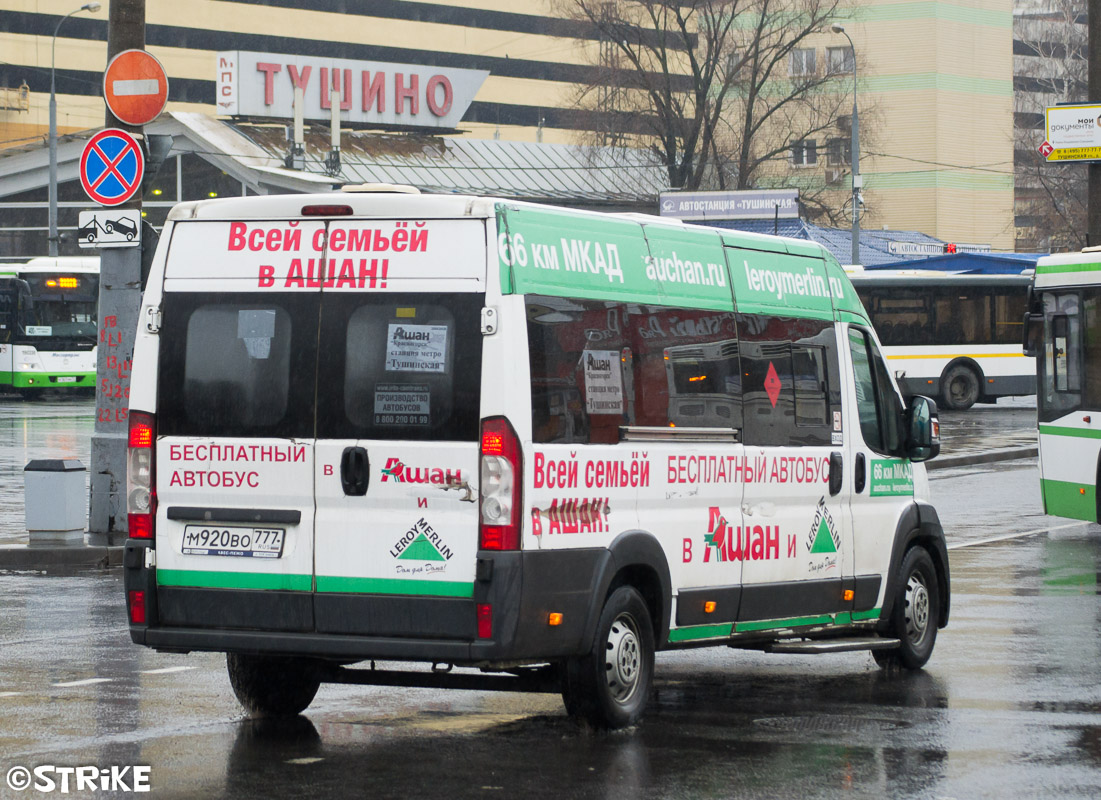 Автобус автобус остановками нижний новгород. Автобус Ашан. Автобус Ашан Тушинская. Маршрутка в Ашан. Тушинская Ашан бесплатный автобус.