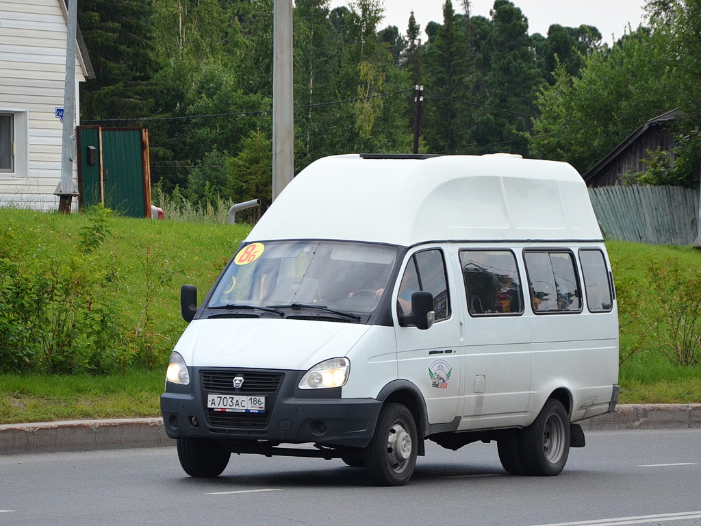 Луидор 3009а3 фото