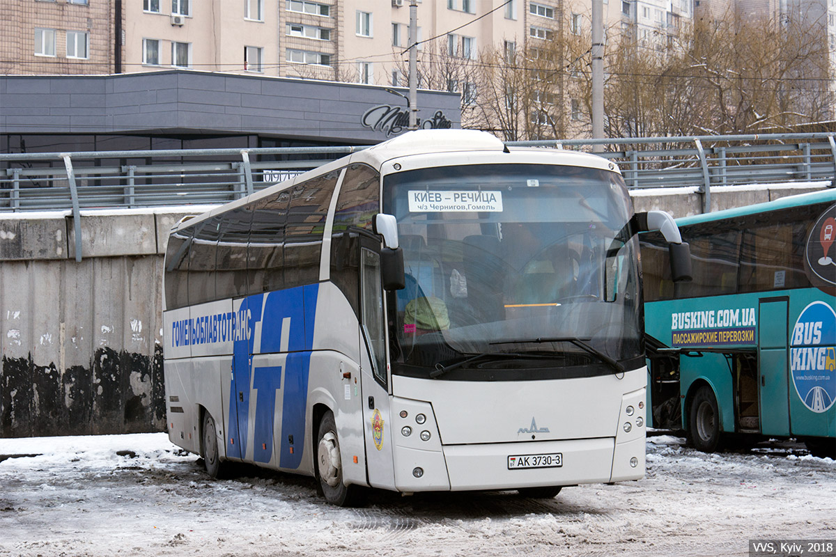 Гомель речица. МАЗ-251.062. Гомельские автобусы. Гомельчанин автобус. Автобус Чернигов Гомель.