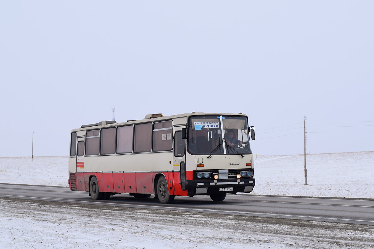 Автобус барнаул алтай. Икарус 250 Краснощеково. Автобусы Икарус Барнаул. Автобус Барнаул Краснощеково. Икарусы в Барнауле.