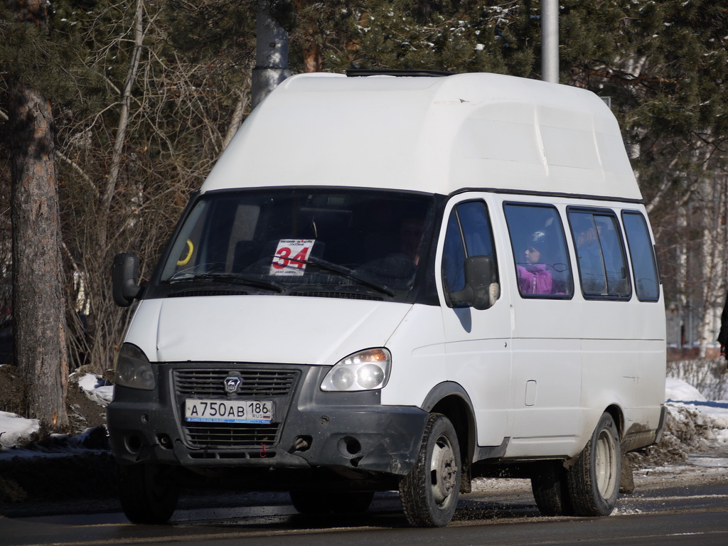 Автомобиль луидор фото