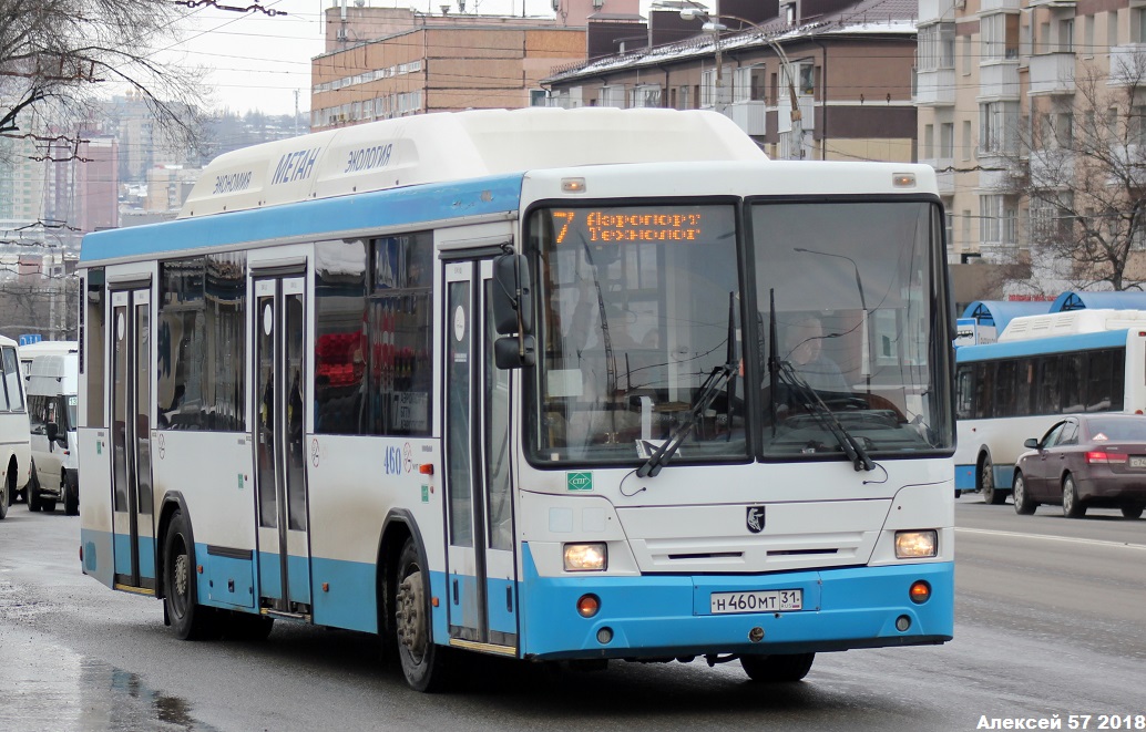 Автобус 34 раково