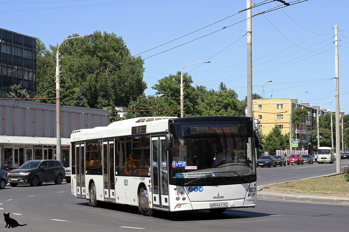 Фотобус ростов на дону. МАЗ 203 Ростов. МАЗ-203 автобус. МАЗ-203 автобус Ростов. Автобус МАЗ 203 Ростов на Дону.