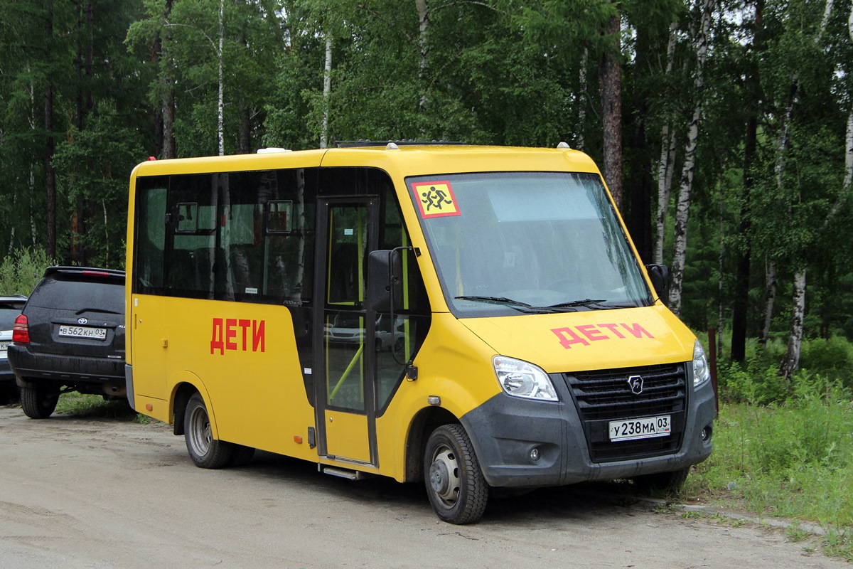 Луидор 2250. ГАЗ школьный автобус Луидор 2230. Автобус школьный Луидор 2250 n1. Школьный автобус Газель Некст Луидор 2250 n4.