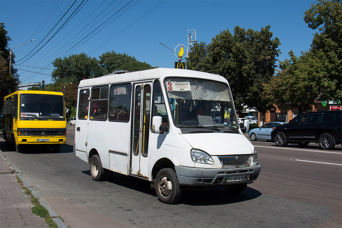 Газель дельфин фото