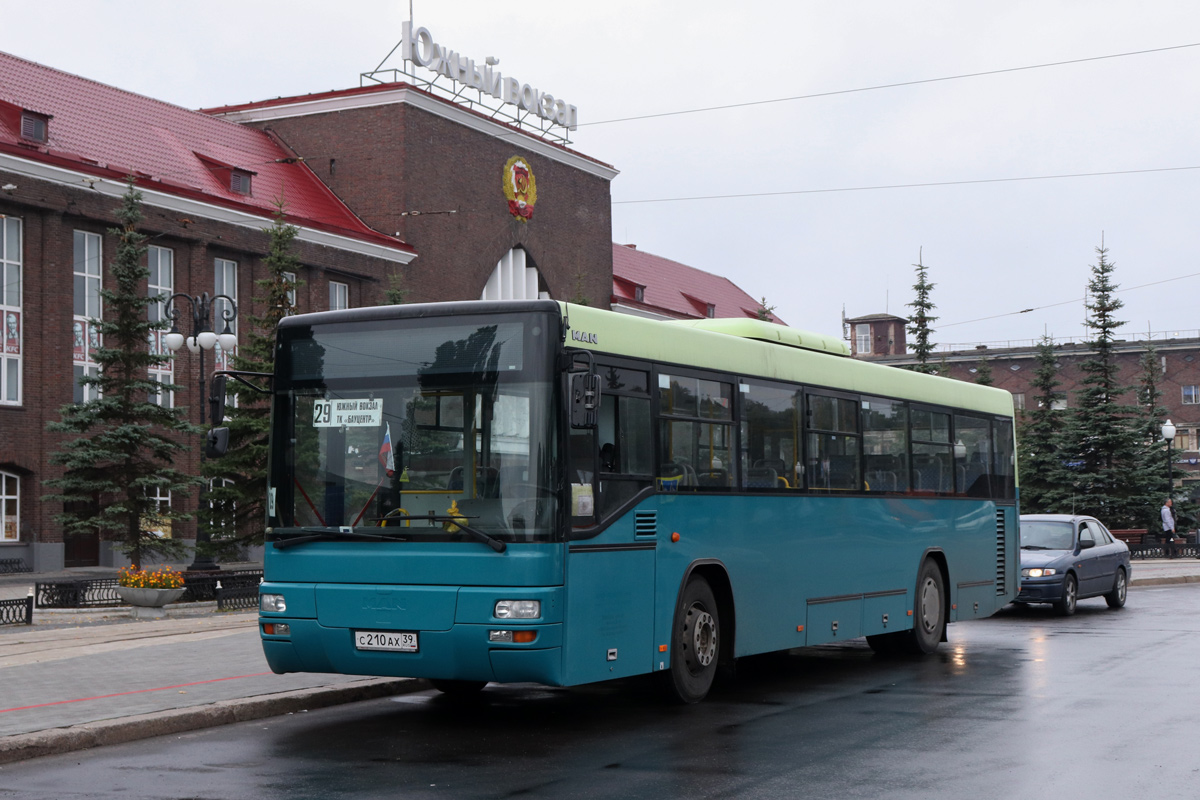 Kaliningrad region, MAN A74 Lion's Classic SL283 # С 210 АХ 39
