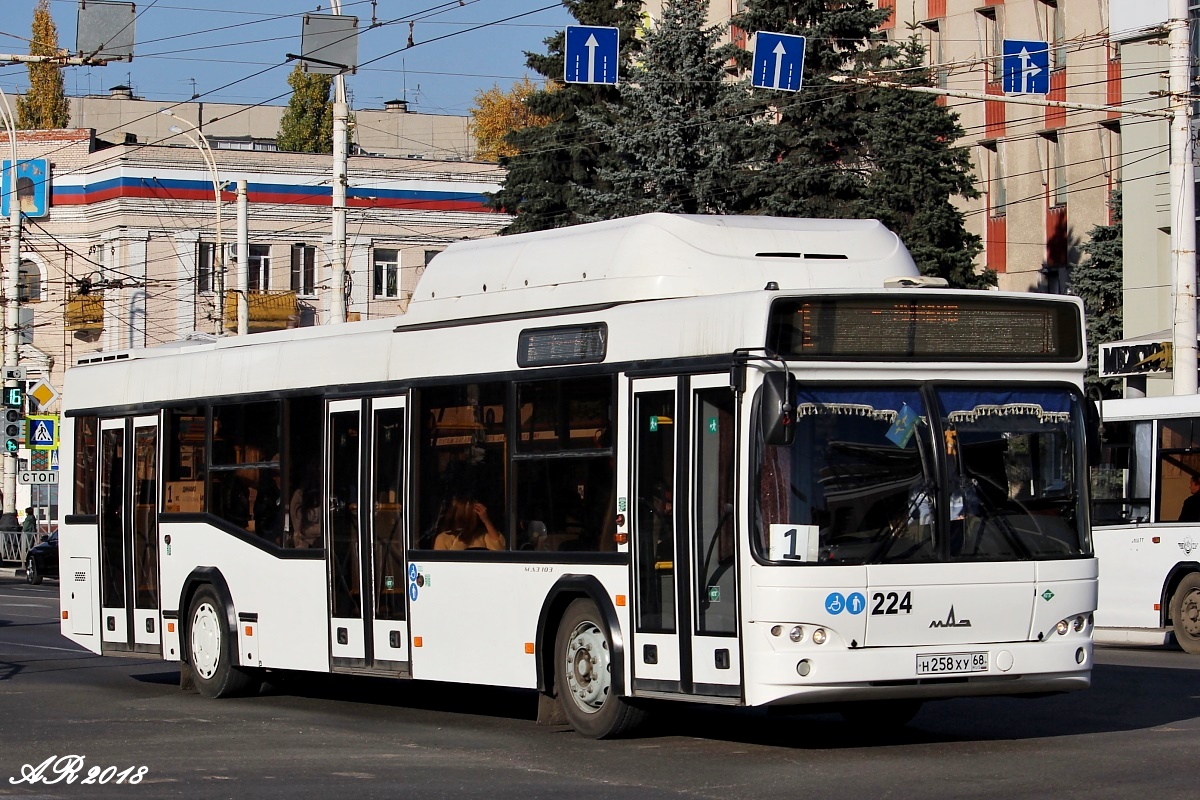 Остановки 224 автобуса. 224 Автобус. Автобус 224э. Автобус 224 СПБ.