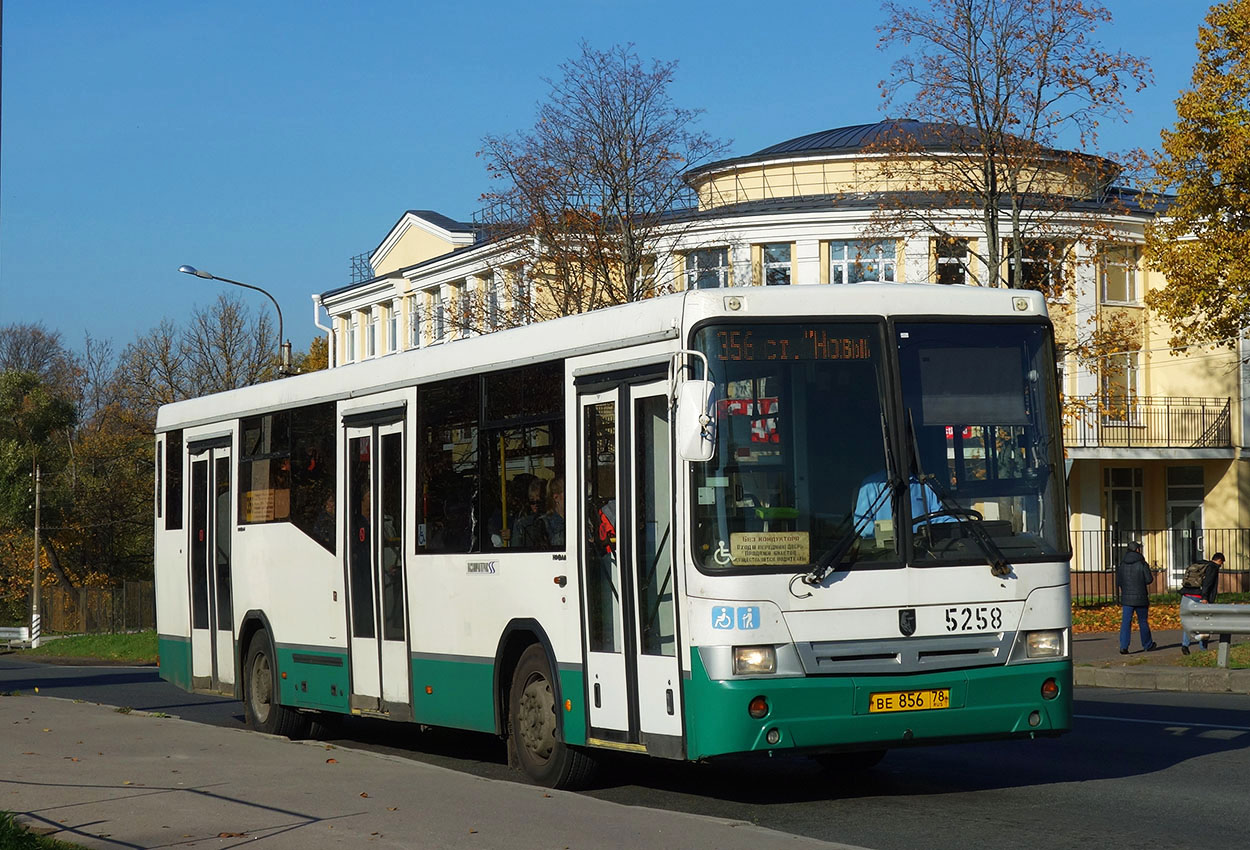 Автобус 353 петергоф. 359 Петергоф. Маршрут 356 автобуса Петергоф. Маршрут 359 автобуса Петергоф. Автобус 204 Петергоф Автово.