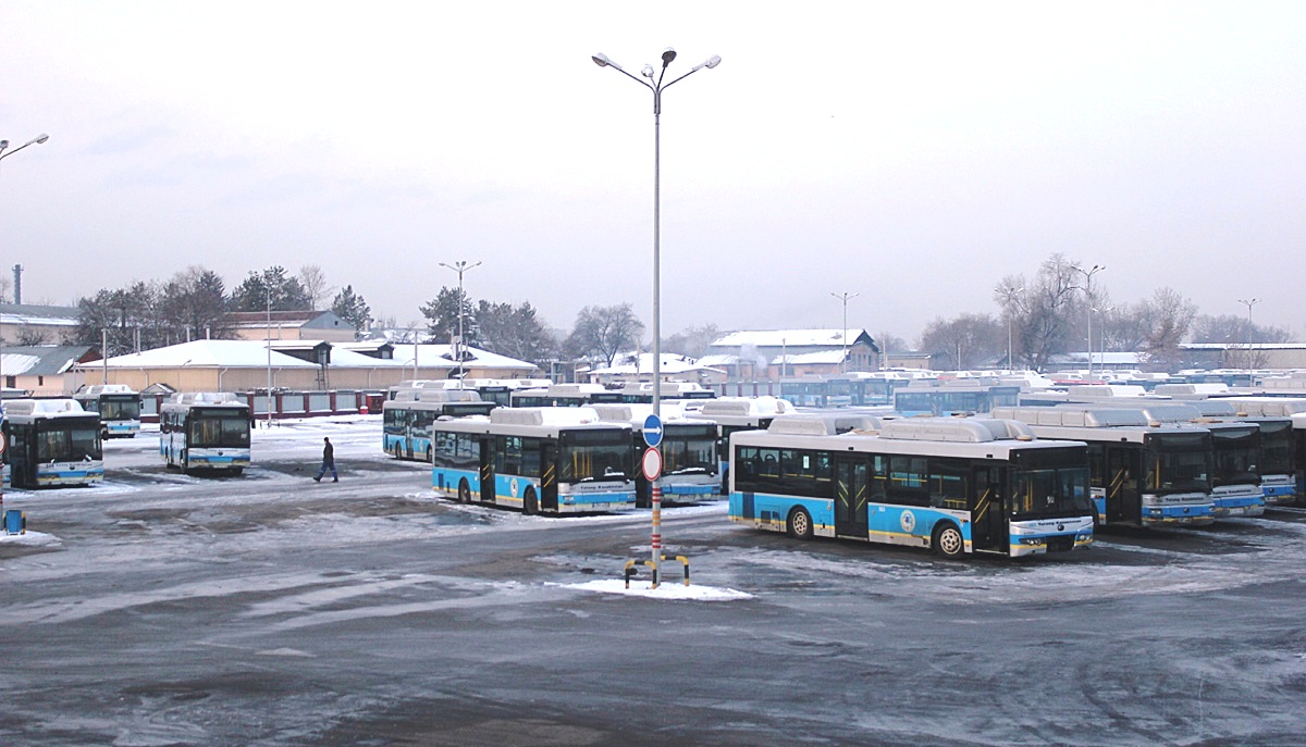 Автобусный парк сегодня. Автобусный парк 2 Алматы. Автобусный парк Петропавловск-Камчатский. Парк автобусов. Автобусный парк 792.