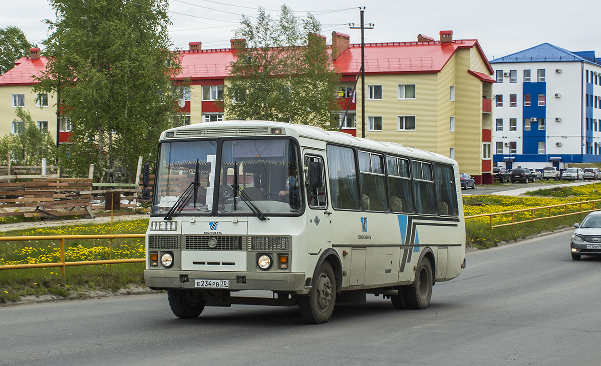 Фото паз 4234