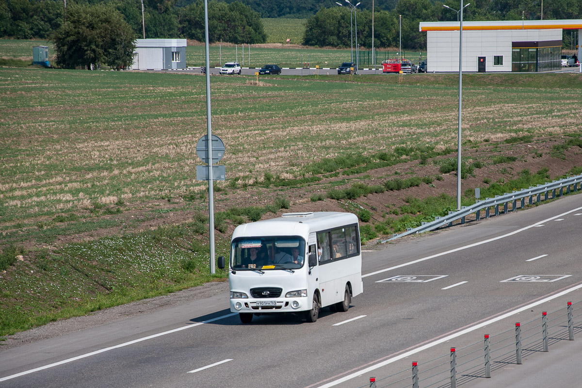 Автобус ростов таганрог. 65 Автобус Ростов. Автобус Ростов на Дону Таганрог. Автобус Таганрог Ростов. Маршрутки Таганрог Ростов.