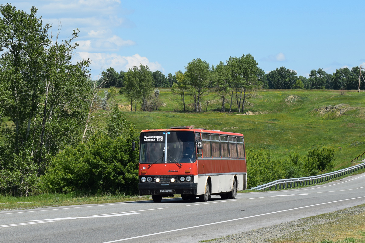 Погода в краснощеково алтайского края. Икарус 256 Алтайский край. Краснощеково Алтайский край. Икарус 250 Краснощеково. Село Краснощеково Алтайский край.