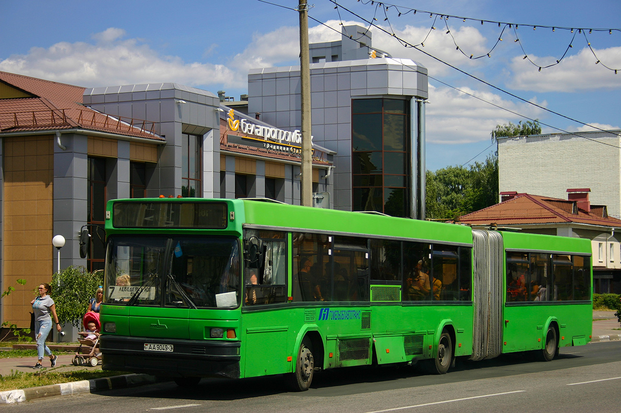 Пригородные автобусы жлобин. МАЗ 105. Автобус 215. Автобус Жлобин Гомель. Минск Рогачев маршрутка.