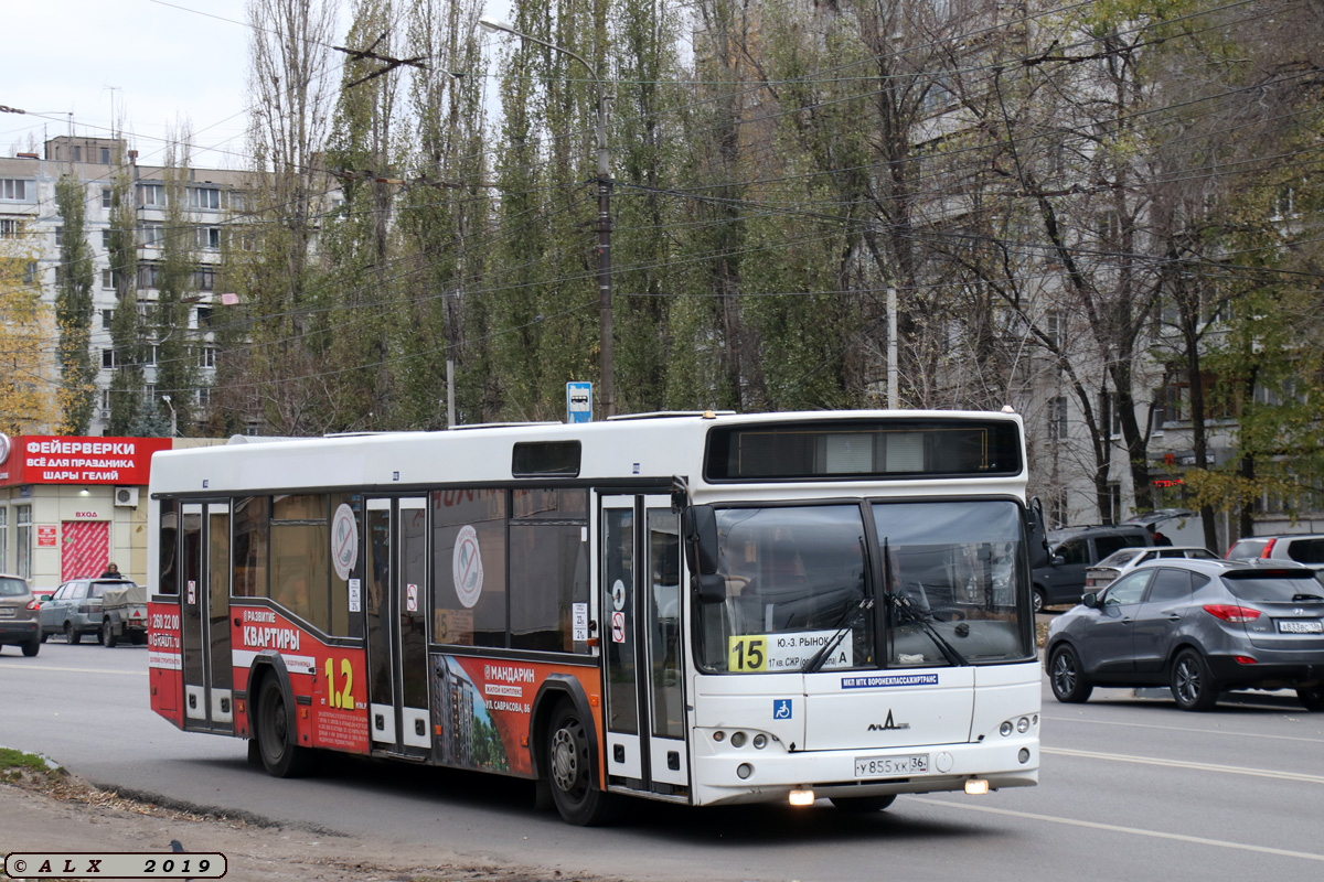 Бу машины воронежская область