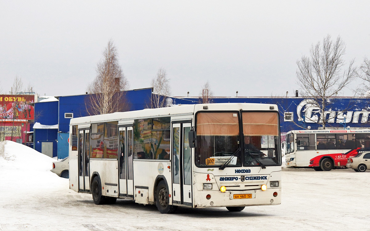 Автобус анжеро судженск кемерово