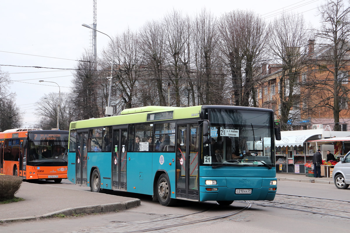 Kaliningrad region, MAN A74 Lion's Classic SL283 # С 210 АХ 39